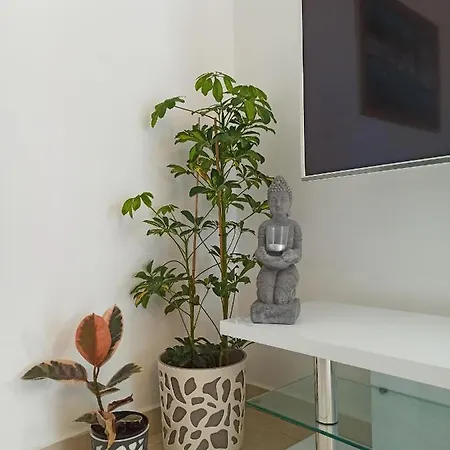 Apartman Kristy